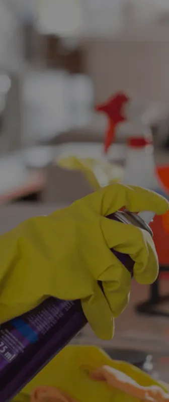 Cleaners Available in Bellevue